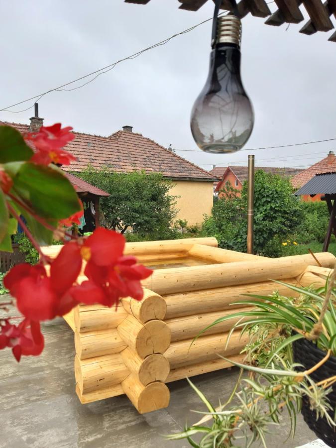 Becze Vanda kulcsosház Lăzarea Dış mekan fotoğraf