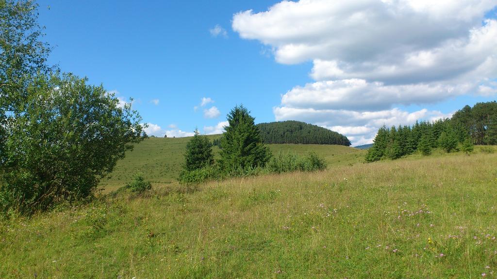 Becze Vanda kulcsosház Lăzarea Dış mekan fotoğraf