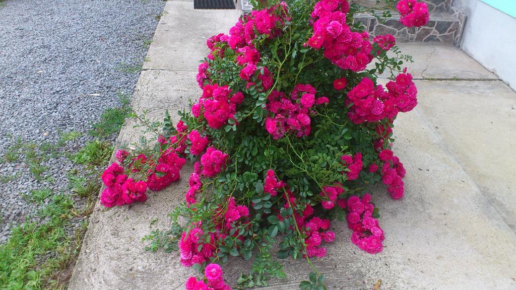 Becze Vanda kulcsosház Lăzarea Dış mekan fotoğraf