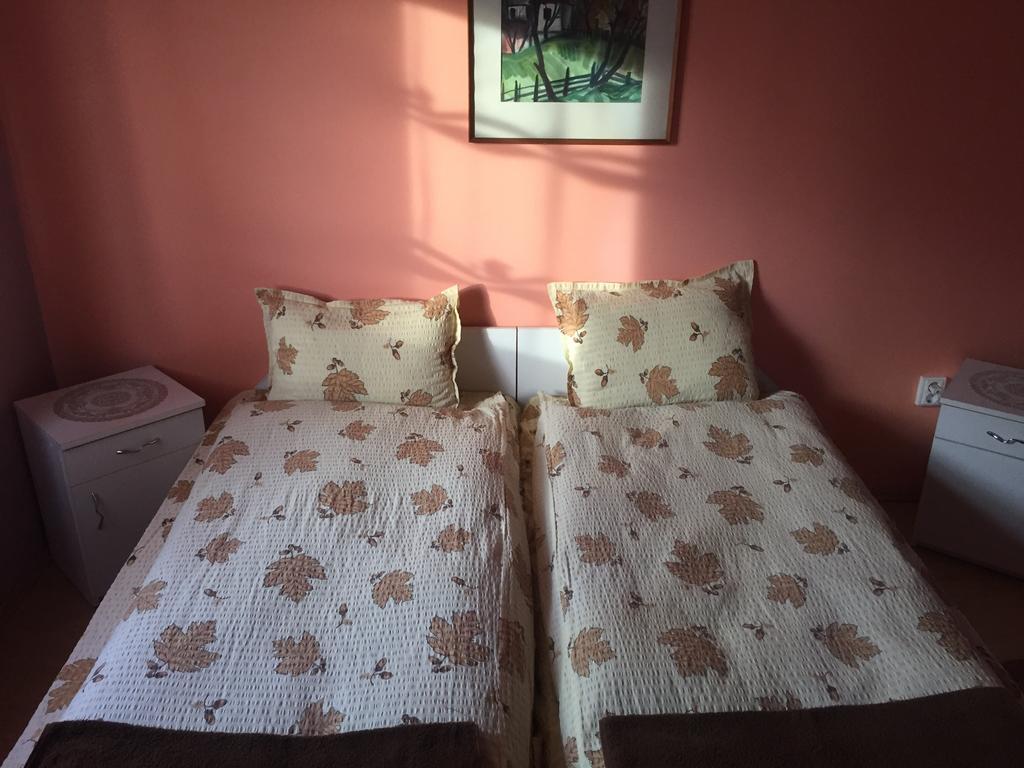 Becze Vanda kulcsosház Lăzarea Dış mekan fotoğraf