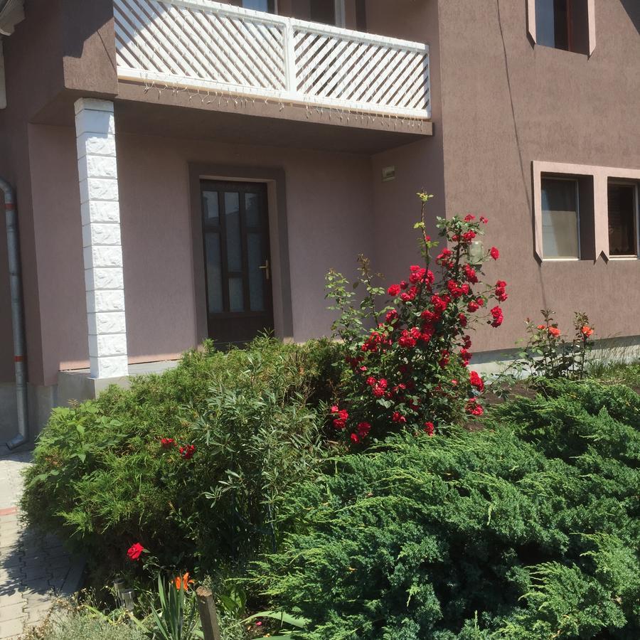 Becze Vanda kulcsosház Lăzarea Dış mekan fotoğraf
