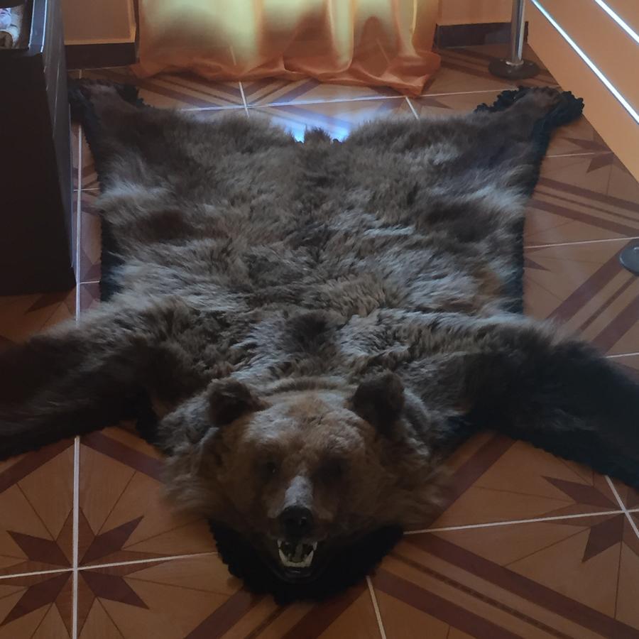 Becze Vanda kulcsosház Lăzarea Dış mekan fotoğraf